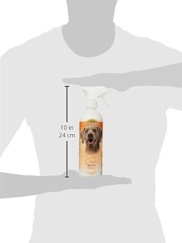 [Australia] - Bio-Groom Coat Polish Conditioner and Detangler Spray, 16-Ounce 