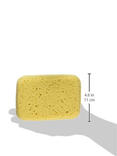 Decker 16DBS Body Sponge for Dogs and Horses, Medium 1 - PawsPlanet Australia