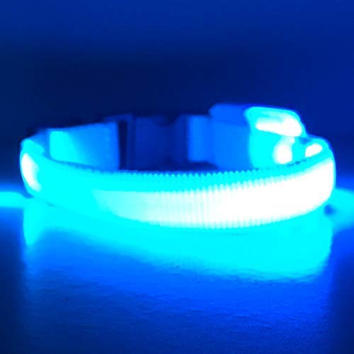 EXPERSOL LED Dog Collar Super Bright Battery Operated Increased Visibility and Safety 4 Colours 3 Sizes (Blue Small) - PawsPlanet Australia