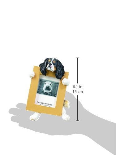 [Australia] - Cavalier King (Tri-Color) Charles Spaniel 2.5" x 3.5" Picture Frame 