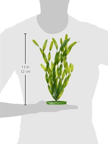 [Australia] - Marina Aquascaper Jungle Vallisneria Plant, 12-Inch 