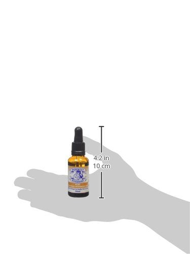 DORWEST HERBS Evening Primrose Oil Liquid for Dogs and Cats 30 ml 30 ml (Pack of 1) - PawsPlanet Australia
