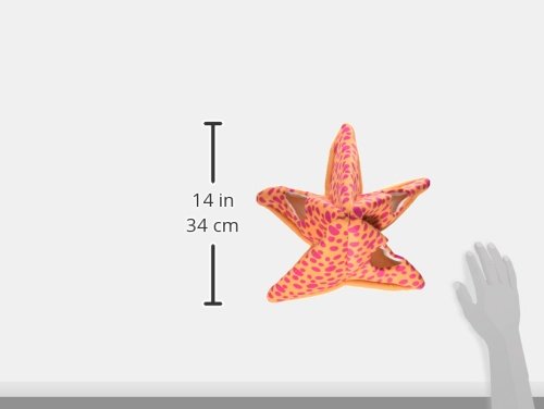 [Australia] - Marshall Starfish Toy 