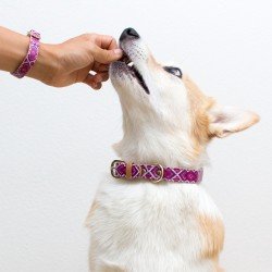 [Australia] - FriendshipCollar Dog or Cat Collar and Matching Bracelet Set - The Pink Princess - Water & Scratch Resistant! XX-Small 