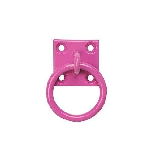 Perry Equestrian Coloured Tie Ring on 50mm Plate Stable Horse Pony Tie Up Ring (Galvanised) Galvanised - PawsPlanet Australia