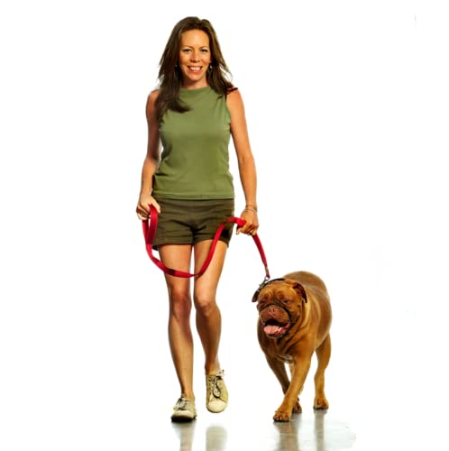 Canny The Canny Collar for Dog Training and Walking, Simple and Effective Help with Dog Training and Helps to Stop Dogs from Pulling on The Lead, Collar for Dog Walking - Black Size 1 - PawsPlanet Australia