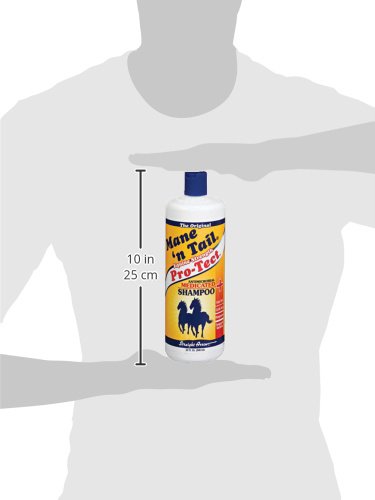 [Australia] - Mane 'n Tail Pro-Tect VETERINARY STRENGTH MEDICATED Shampoo 32 Ounce 