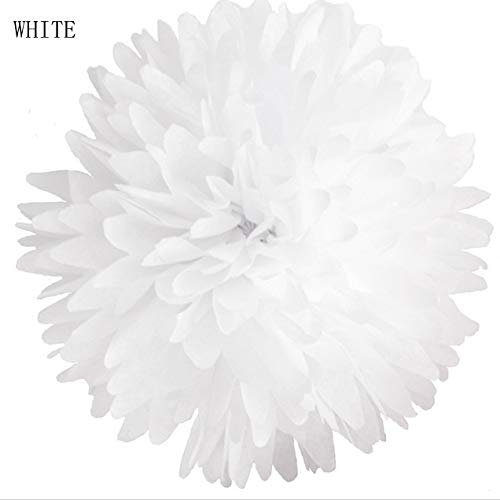 White Gold Red Tissue Pom Poms,Foil Gold Hanging Swirl,8inch and 10inch,Paper Flower Hanging Decorations Party Supplies,Pack of 19,Wedding Bride to Be Party Decoration (Red and White) Red and White - PawsPlanet Australia