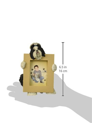 [Australia] - Shih Tzu, Black and White Picture Frame Holds Your Favorite 2.5 by 3.5 Inch Photo, Hand Painted Realistic Looking Shih Tzu Stands 6 Inches Tall Holding Beautifully Crafted Frame, Unique and Special Shih Tzu Gifts for Shih Tzu Owners 