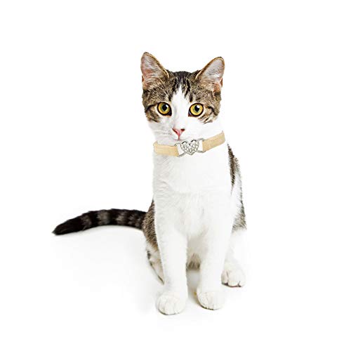 Chukchi Heart Bling Cat Collar with Safety Belt and Bell 8-11 Inches Beige - PawsPlanet Australia