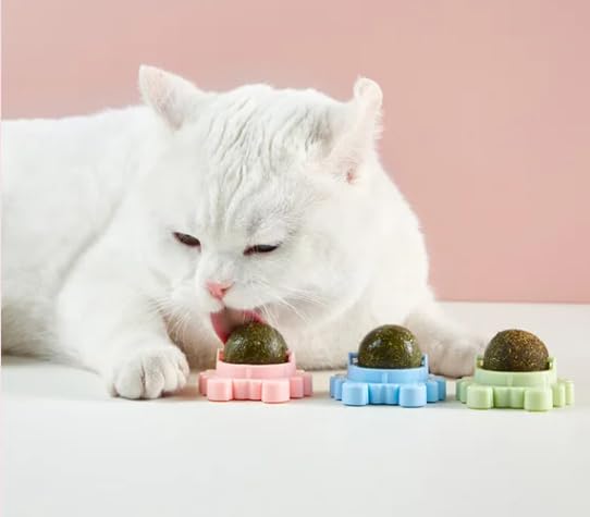 Kitty Kick Stix Catnip Wall Balls (3 Pack), Healthy Cat Chew & Teeth Cleaning - PawsPlanet Australia