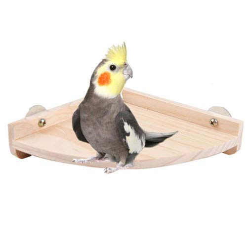 You+ Bird Platform Perch, Toys for Chinchilla Cockatiel Parakeet, Bird Cage Accessories - PawsPlanet Australia