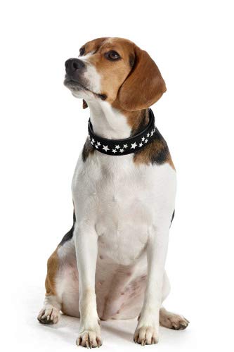 HUNTER Softie Stars Art-Nubuk Nickel Collar, 55 cm, Medium, Black/Nappa Black M Black/ black - PawsPlanet Australia