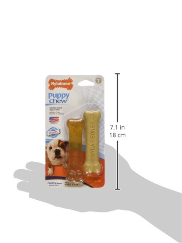 [Australia] - Nylabone Classic Puppy Chew Flavored Durable Dog Chew Toy 2 count X-Small/Petite - Up to 15 lbs X-Small/Petite - Up to 15 lbs. 