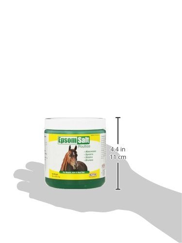 Durvet Epsom Salt Poultice - Net Wt. 20 oz. One Size - PawsPlanet Australia