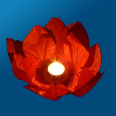 4 x Coloured Garden / Pond / Water Floating Lanterns with Tealights (4 x Red Flowers) 4 X Red Flowers - PawsPlanet Australia