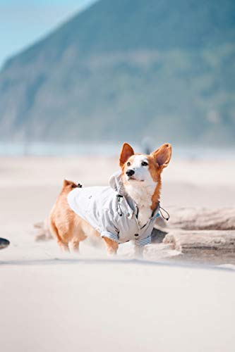 Ellie Dog Wear Zip Up Light Gray Dog Raincoat with Pockets, Water Resistant, Adjustable Drawstring, Removable Hoodie - Size XXS to XXL Available - Stylish Premium Dog Raincoats XX-Small - PawsPlanet Australia