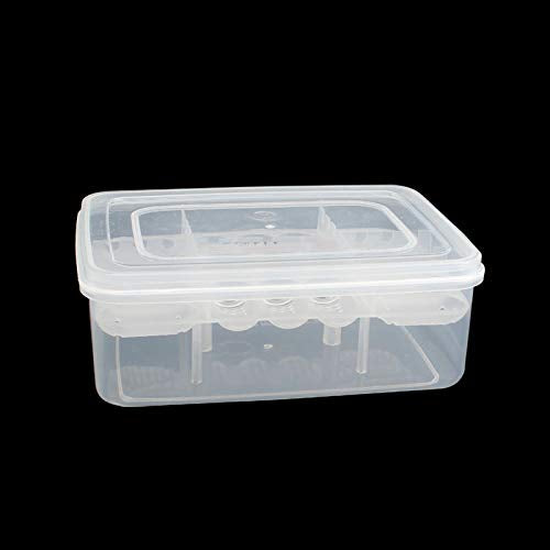 16 Grids Reptile Breeder Box Professional Plastic Reptile Breeding Box Hatching Incubator for Amphibians Snakes Lizards Turtles Tortoises Geckos with Eggs Tray Thermometer Not Included 6.6×4.8×2.4inch - PawsPlanet Australia