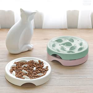 Slow Feeder for Cat Small Dog Food Bowl Melamine Puzzle Feed Dish - Preventing Feeder Anti Gulping Healthy Eating Diet Green - PawsPlanet Australia