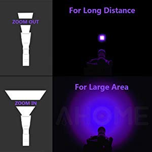 UV LED Torch Blacklight Zoomable Rechargeable Black Light Torches UV Dogs/Cats Urine Detector Ultraviolet Lamp for Pet Stain Find Dry Stains on Carpets/Rugs/Floor - PawsPlanet Australia