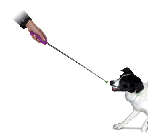 [Australia] - Premier Click Stick Dog Trainer - Purple 