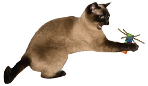 [Australia] - Cat Dancer 803 Whisker Chasers Interactive Cat Toy, 2-Pack 