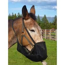 [Australia] - TrailMax Cavalry Style Mesh No-Spill Feedbag For Horses Or Mules Features Extremely Durable 100% Nylon Mesh Construction, An Adjustable Strap, Great for Messy Eaters and Group Feeding Don't Lose Feed! 