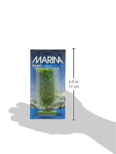 [Australia] - Marina Aquascaper Anacharis Plant, 5-Inch 