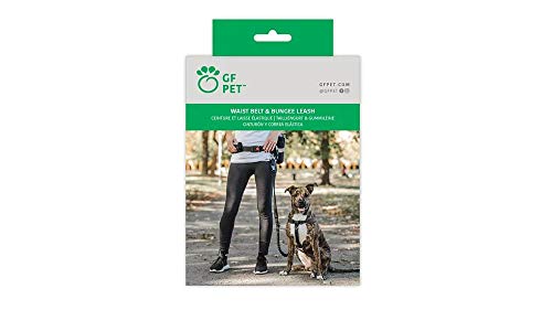 [Australia] - Waist Belt & Bungee Leash, Retractable Hands Free Dog Leash, Shock Absorber for Running, Walking, Hiking, Jogging, Animals up to 100 lbs,Reflective Detailing, Pouches for Phone/Treats/Water 