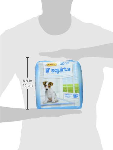 [Australia] - RHODE ISLAND TEXTILE 82030 Training Pet Pads (30 Pack) 