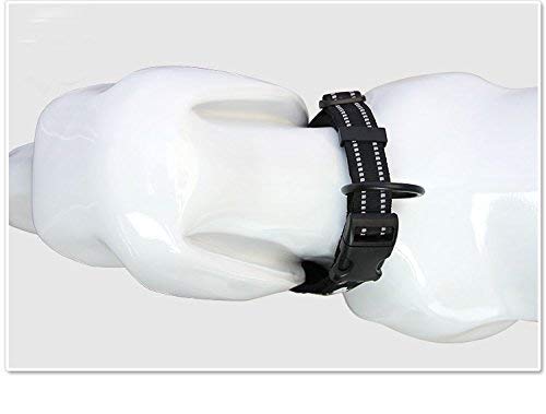 TRUE LOVE Truelove Dog Training Collar TLC5011 Reflective Premium Buckle Nylon Webbing Pet Dog Collars,High Grade Nylon Webbing No Choke Basic Collars Now Available (2XS, Black) 2XS - PawsPlanet Australia