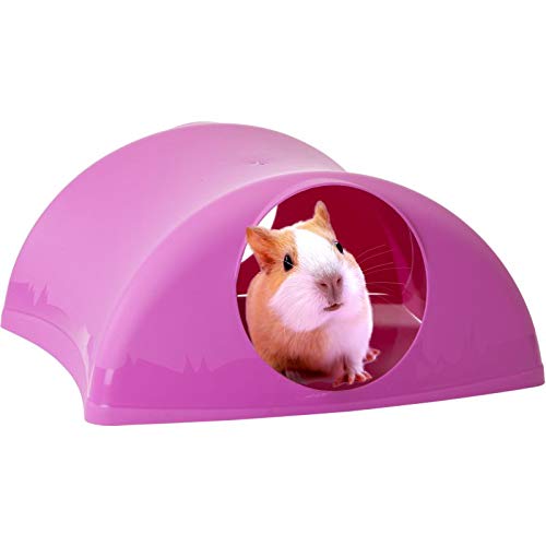 Lixit Critter Hollow Home for Guinea Pigs, Rats and Other Small Animals Assorted - PawsPlanet Australia