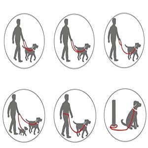 Dog Collar Lead Set, Strong Dog Collar, Adjustable, Extra Long Dog Lead 2M, 3 x Adjustable, Strong Tweed Nylon, Large Small Dogs, Present (M 30-50 cm) M 30-50 cm - PawsPlanet Australia