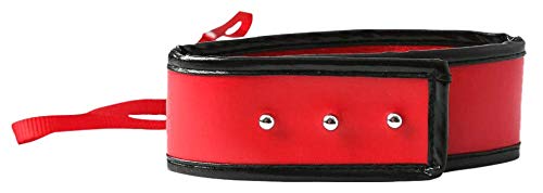 S&M Leash&Collar: Red - PawsPlanet Australia