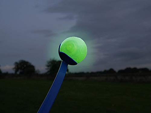 Rosewood GLOW IN THE DARK BALL - PawsPlanet Australia