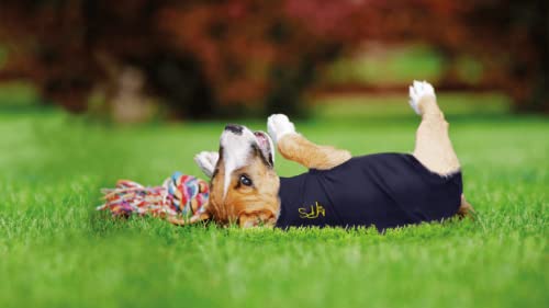 MPS Medical Pet Shirt Dog, Surgery Recovery Suit, Zebra-Print, XXXX-Small XXXXS - PawsPlanet Australia