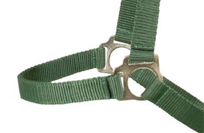 PFIFF Plastic halter blue P1 Green K4 - PawsPlanet Australia