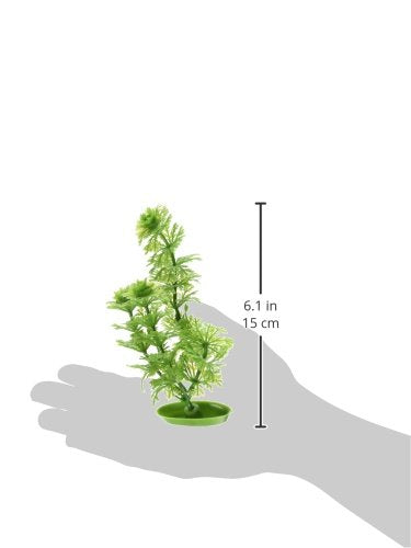 [Australia] - Marina Aquascaper Ambulia Plant, 5-Inch 