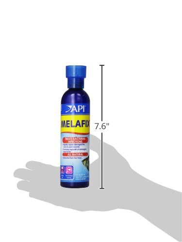 API MELAFIX Freshwater Fish Bacterial Infection Remedy 237 ml Bottle 237 ml (Pack of 1) - PawsPlanet Australia