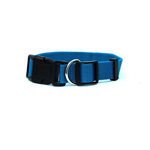 [Australia] - Kennel Club GKC Dog Collar Large Black 