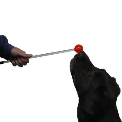 Karen Pryor Lollipop Target Stick for Clicker Training - PawsPlanet Australia
