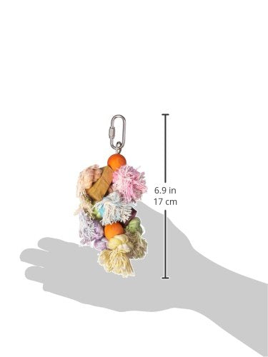 [Australia] - Penn Plax BA930 Shaggy Kabob Bird Toy, Small 