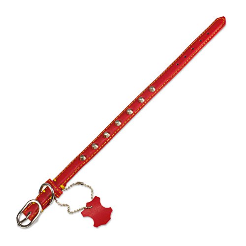 Arquivet 8435117895300 - Necklace Skin Basico, red, 15 x 30 cm 2x302x30 - PawsPlanet Australia