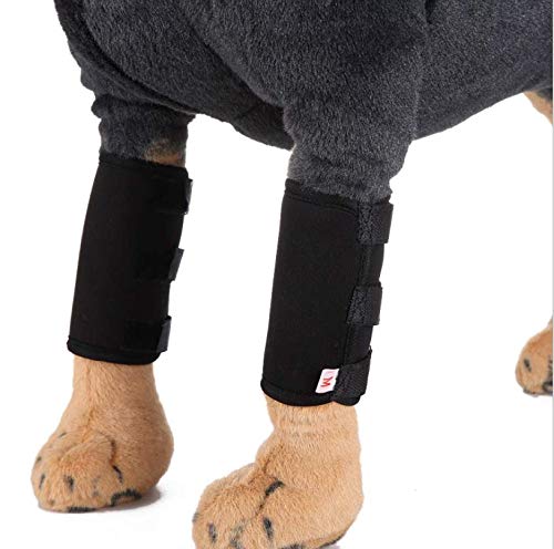 WXFEXIA Dog Front Leg Hock Brace - Canine Compression Wrap Protects Wounds Heal Support Due to Arthritis to Prevents Injuries and Sprains or Walking (1 Pair, L) - PawsPlanet Australia