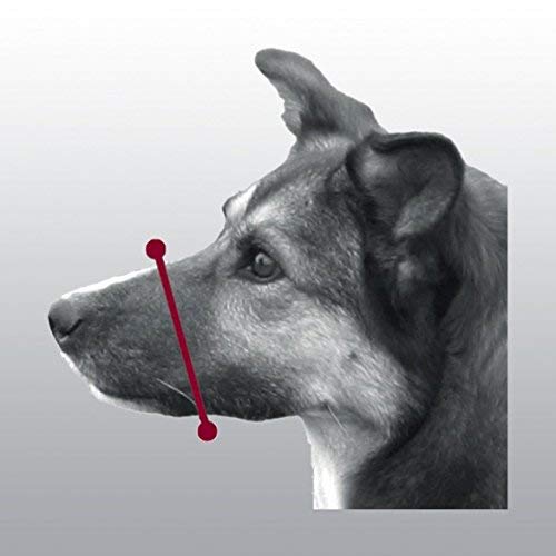 Adjustable Dog Muzzle for Dog Training Size 2 - PawsPlanet Australia