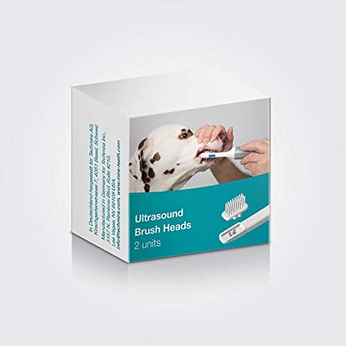 Cleany Teeth Replacement Brush Heads - PawsPlanet Australia