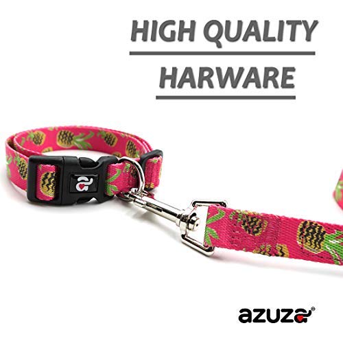 azuza Dog Collar and Leash Set, Pineapple Patterns on Nylon Collar and Matching Leash, Great Option for Extra Small Dogs XS(Neck: 8"-12") - PawsPlanet Australia