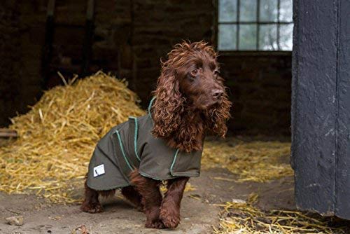 Dog & Field 2 in 1 Fully Waterproof Dog Coat - Microfiber Lined Drying Jacket - Keeps Your Dog Warm and Dry Whilst Wicking Moisture Away From Your Pets Fur - Sizes XS-XL (S) S - PawsPlanet Australia