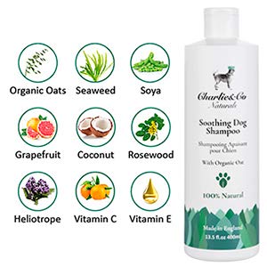 Charlie & Co Naturals 100% Natural Soothing Dog Shampoo - PawsPlanet Australia