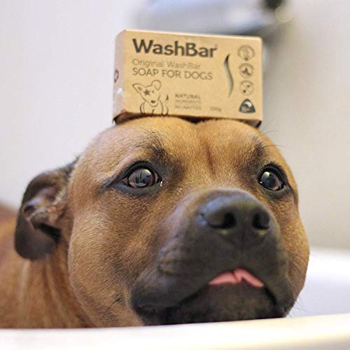 [Australia] - WashBar Natural Dog Soap Bar - Natural Dog Shampoo for Allergies and Itching, Zero Plastic Waste, Grooming Made Easy (Single) 